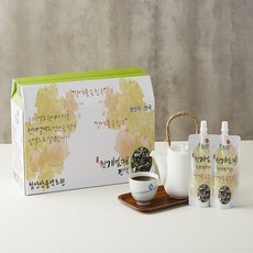 프리미엄 국내산 100% 유기농 헛개즙 열매로만 맛을 낸 헛개열매진액 100ml 40개