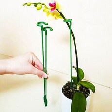 식집사 식물 지지대 고정 일자형 꽃 화분 화초 키우기 원예 방울토마토, 없음