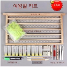 자동이충기 양봉 여왕벌 양육 키트 꿀벌 만들기 세트
