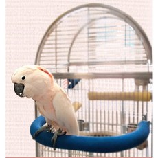 金瑞成鳥園 磨趾保溫棲木, 1個, 小尺寸