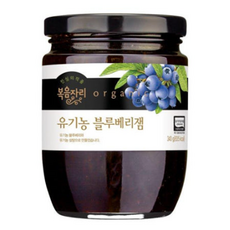 복음자리 디저트 간식 홈카페 브런치 유기농블루베리잼 340g, 1개