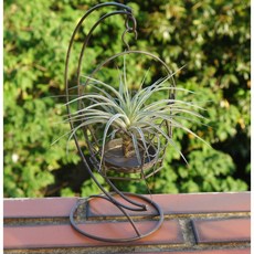 花樣渼栽盆栽生活館 造型花架 空氣鳳梨花架 療癒蠟燭架，多用途室內裝飾花器, 1個