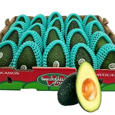 [재구매1위] Westfalia 프리미엄 아보카도 생과, 1박스, 1.1kg (4-6과)