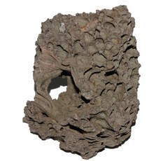 3-5cm 화쇄암 화산분출 암석 쇄설암 모양 특성 관찰 교재 어린이 원리 체험 학습 기자재