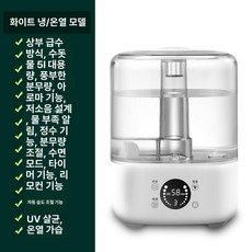 픽온 무소음가습기 가열식 살균 간편세척 가정용 아기, 화이트(온열가습기능), 기본 모델명/품번