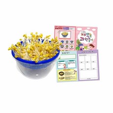 다팔아 콩나물 키우기 콩나물키우기키트