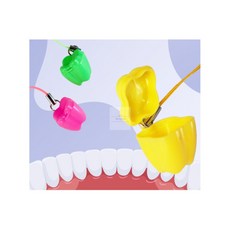 치아 보관함 첫니보관함 유치보관 치아케이스