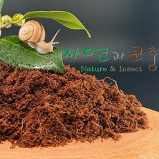 코코피트 코코넛바닥재 사슴벌레매트 장수풍뎅이매트 달팽이매트 절지류 바닥재, 코코피트1L