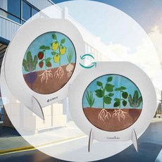 데코샌드디로 양면액자 뿌리채소 공간분위기전환 거실연출소품 사무공간장식 시각안정효과 미니멀디자인 내추럴감성