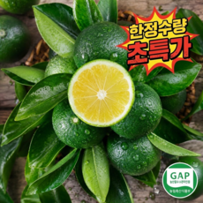 [산지직송] GAP인증 천상의맛 시즌한정 제주청귤, 1박스, 5kg(품절임박)