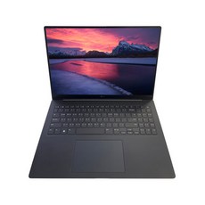 LG전자 2025 그램 Pro AI 16 WQXGA 코어Ultra5 루나레이크, 메탈그레이, 256GB, 16GB, WIN11 Home, 16Z90TS-GS56K