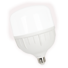 툴리버 T벌브 전구 LED 50와트 하얀빛 흰빛 50W E26, 2개, 주광색