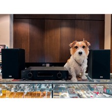 HECO VICTA ELITE 202 書架型喇叭 TANGENT EXEO AMP擴大機, 1個