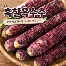 산지직송 쫀득고소 국내산 햇 흑찰옥수수, 1개, 흑 중품 10개입