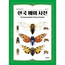 한국 매미 사전, 비글스쿨, 김선주 글, 어린이 생물 도서관