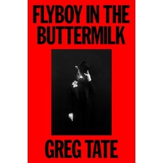 (영문도서)Flyboy in the Buttermilk: Essays on Contemporary America Hardcover, Auwa, English, 9780374394608