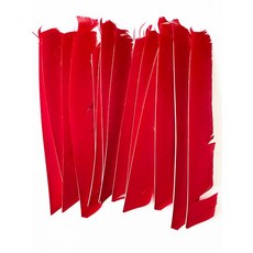 18-25CM 양궁 Fletching 화살 깃털 여러 가지 빛깔의 전체 길이 컷 없음 진짜 칠면조 DIY 샤프트 50 개, 12 red, 1개