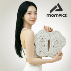몸픽 하체관리 지압 스텝퍼 가정용 에어 유산소, 소프트 그레이