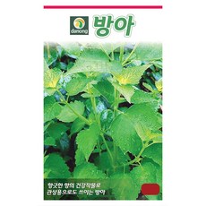 방아(배초향 곽향)씨앗 1g 건강작물 방애잎 중개풀 방아풀, 1개