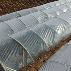 원예 농사 농업채소 재배 투명 하우스 비닐, 2m x 10m