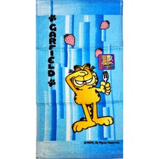亞妮維斯絨面卡通毛巾 柔軟吸水 可愛卡通圖案 居家旅行必備, 加菲貓授權圖, 3個