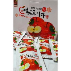 얼음골 신씨농장 꿀 사과 부사 고당도 사과즙 120ml, 1박스