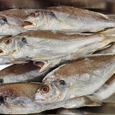 국내산 반건조 백조기1kg 7-10미