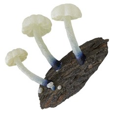 버섯 수저받침대 젓가락홀더 세트 티슈 장식, 높이  7cm, 섹션 C