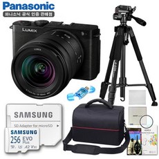 파나소닉 정품 루믹스 DC-S9 + S 20-60mm KIT/디럭스 삼각대 패키지 8종세트/256G/TJ, 블랙
