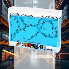 개미 관찰하기 대 블루 개미집관찰 관찰키트 곤충학습키트 성장피규어 곤충관찰놀이 개미사육장