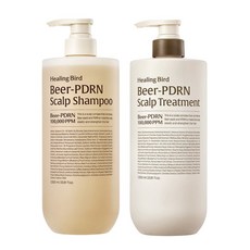 힐링버드 비어 PDRN 샴푸 1000ml+트리트먼트 1000ml, 1개, 1L