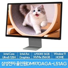 삼성전자 올인원 프로 PC 68.6cm(27인치) UHD LED 공간활용 일체형 PC, 그레이, Ultra5 125H, 256GB, 16GB, WIN11 Home