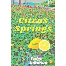 (영문도서) Citrus Springs Paperback, Outcast Press LLC, English, 9781960882141