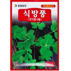 영농사 식방풍 씨앗 300립 갯기름나물 방풍씨, 3개
