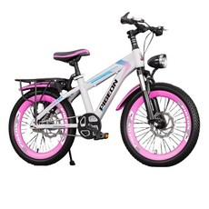 여아 입문용 두발자전거 20인치 저학년자전거 18인치, 18 인치, E. 화이트/핑크 (짐받이)