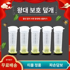 양육 이충기 양봉장 100개 자재 여왕벌 왕대보호기, 왕대보호덮개 10개(왕대배송)