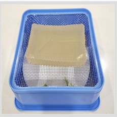 건shop디자인 묵채반 우무가사리채 묵사발만들기, 사각묵채