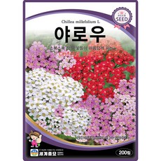 세계종묘 야로우 씨앗 200립 야로우 꽃씨 허브 종자, 1개