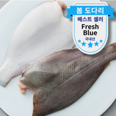 동해안 자연산 알배기 봄도다리 생물 제철 손질 도다리 쑥국 구이 횟감, 1박스, 중/대 사이즈 550g (2~3미)