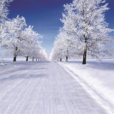 스튜디오배경지 유튜브 설산 링조명 배경 배경지 배경천, 2x1.5m, 1개, 라이트그린