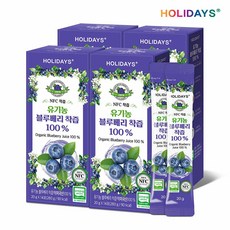 H[M] 홀리데이즈 유기농 블루베리즙 NCF 착즙 100% 4박스, 20g, 14회분