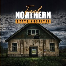 (영문도서)Feel: Northern State Hospital Paperback, Mark Favero, English, 9798348586805