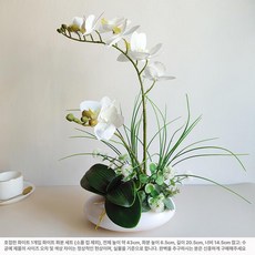 조화 난 인테리어 분재 느낌 소형 테이블 미니 난꽃, 화이트 1개 화이트 화분 세트