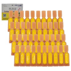 골든큐민스타 강황커큐민 수용성커큐민 물에 타먹는 커큐민영양제, 20g, 3박스, 액상커큐민
