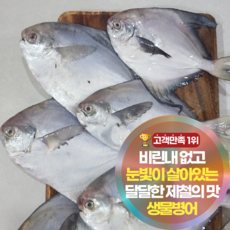삼시세끼연구소 감칠맛 터지는 4주한정 조림용 횟감용 생물병어, 1세트, 2kg