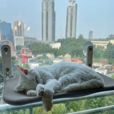 콩냥팥냥 완제품 고양이 창문 해먹 부착형 해먹, 1개, 그레이