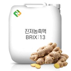 진저농축액 13Brix 200g 샘플, 1개