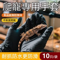 爬蟲專用手套 食品級無粉無味 不刺激爬龍 耐抓防水防滑, 1個, 【蜥蜴守宮烏龜爬寵專用】10只拉鍊袋裝,L碼大號-適合多數男性拍