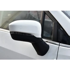 Trumpchi GAC GS3에 적합 2017 방향 지시등 5/8 핀이있는 백미러 어셈블리, 06 White-Right Side, 01 빠른, 02 8PINS-Auto Folding
