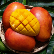 [과일계의 에르메스] 향기폭발 망고의여왕 무지개망고, 1박스, 1kg